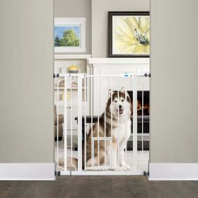 Extra Tall Walk-thru Gate, With Smaller Door, 36" Tall, Extends between 29"-36" Wide