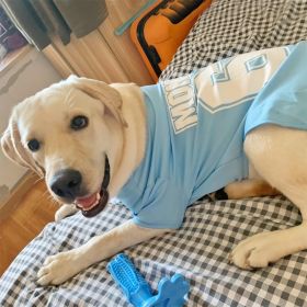 Summer Dog Thin Pet Clothing Vest (Option: 68Tshirt Sky Blue-M)